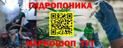 сатива Краснознаменск