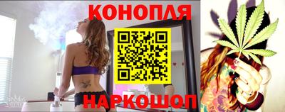 сатива Краснодар