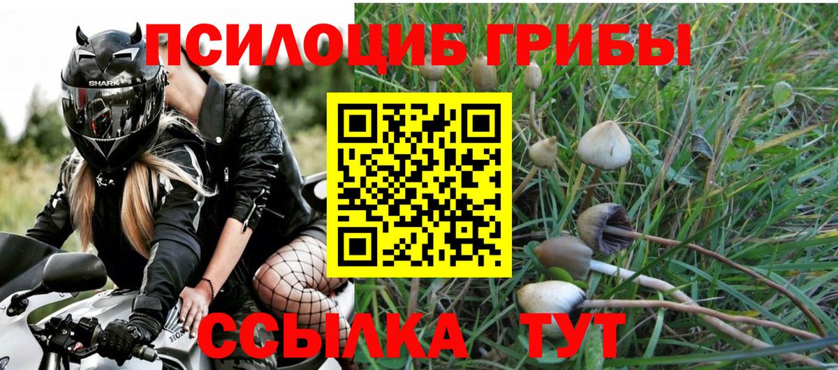 Галлюциногенные грибы прущие грибы Киселёвск