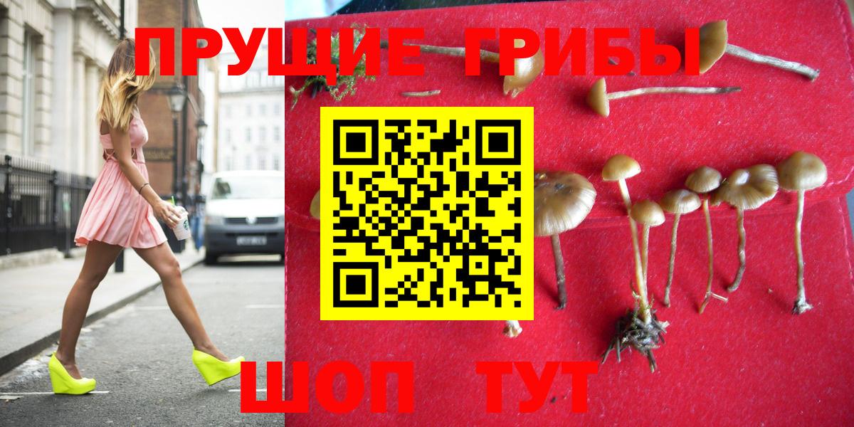 Псилоцибиновые грибы MAGIC MUSHROOMS  Псилоцибиновые грибы MAGIC MUSHROOMS  Киселёвск  Вход с VPN 
